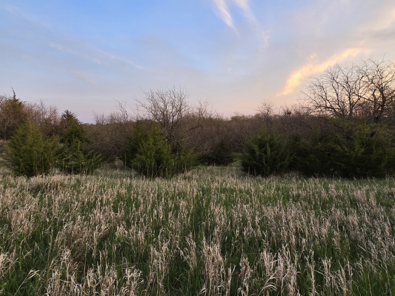 Listing photo 29